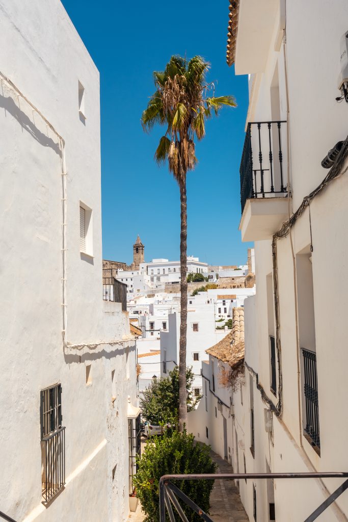 A Palm Tree Between The White Houses Vejer De La Frontera, Cadiz. Andalusia