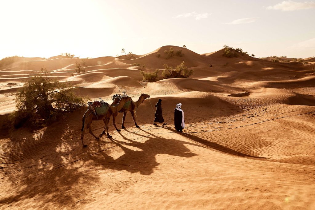 Beautiful Shot Of People Walking With Their Camels In The Desert Of Erg Lihoudi In Morocco