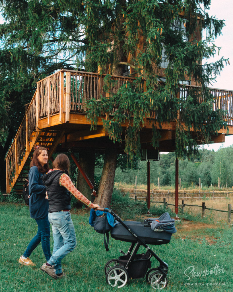Modry Ganek domek na drzewie odwiedziny Slowspotter