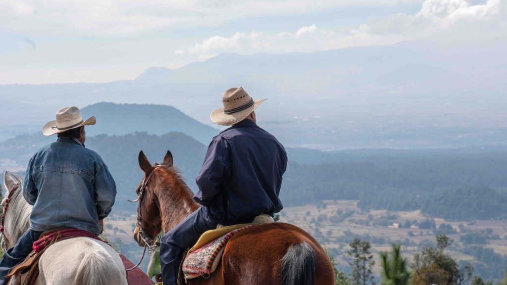 Traditional Mexican Cowboys On Horses Riding Hors 2023 11 27 05 31 17 Utc